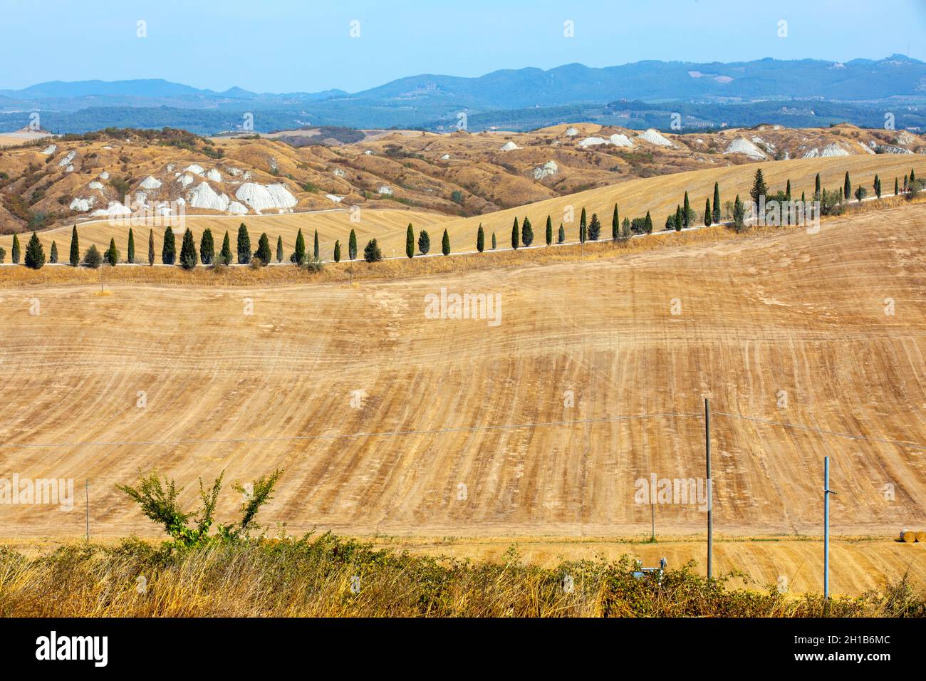 Typical scenary of Crete Senesi, Asciano, Siena, Tuscany, Italy Stock Photo  - Alamy