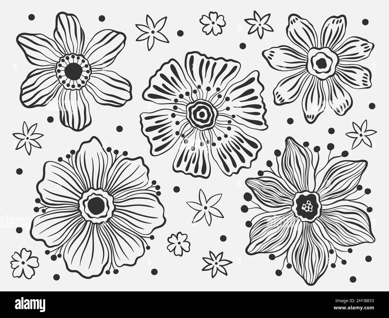 Set floral outline hand draw.Element black color in white  background.Botanical plant flower design Stock Vector Image & Art - Alamy