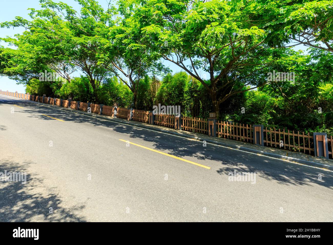Asphalt road and green forest scenery Stock Photo - Alamy