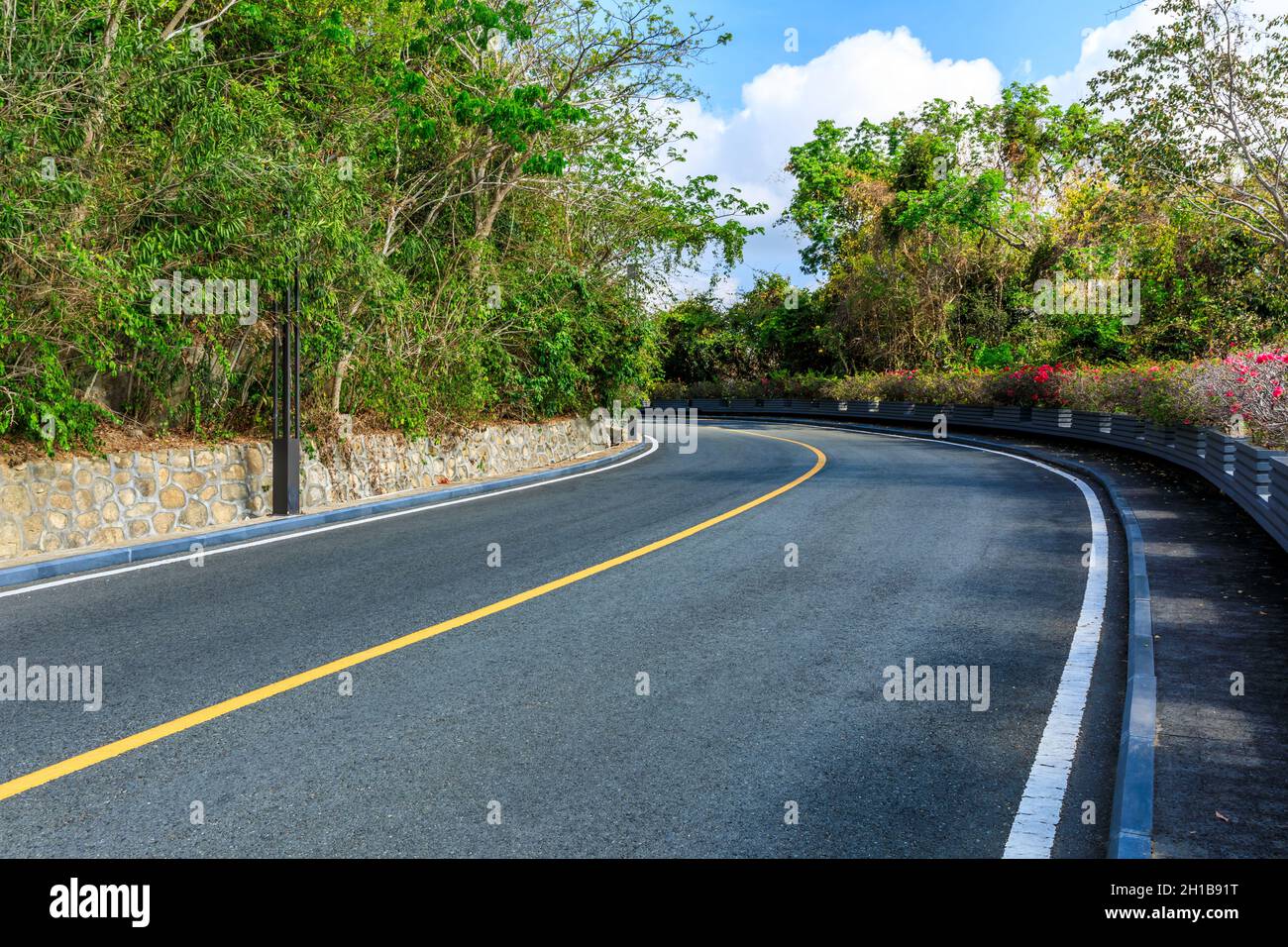 Asphalt road and green forest scenery Stock Photo - Alamy