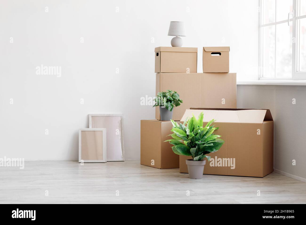 Stack of many different cardboard boxes with goods and green plants in pots on floor on white wall background Stock Photo