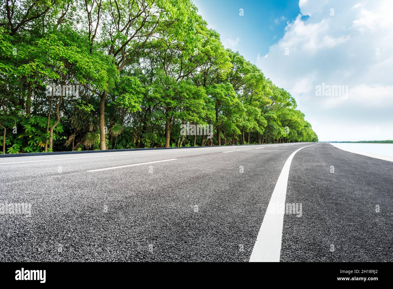 Empty asphalt road and green tree scenery Stock Photo - Alamy