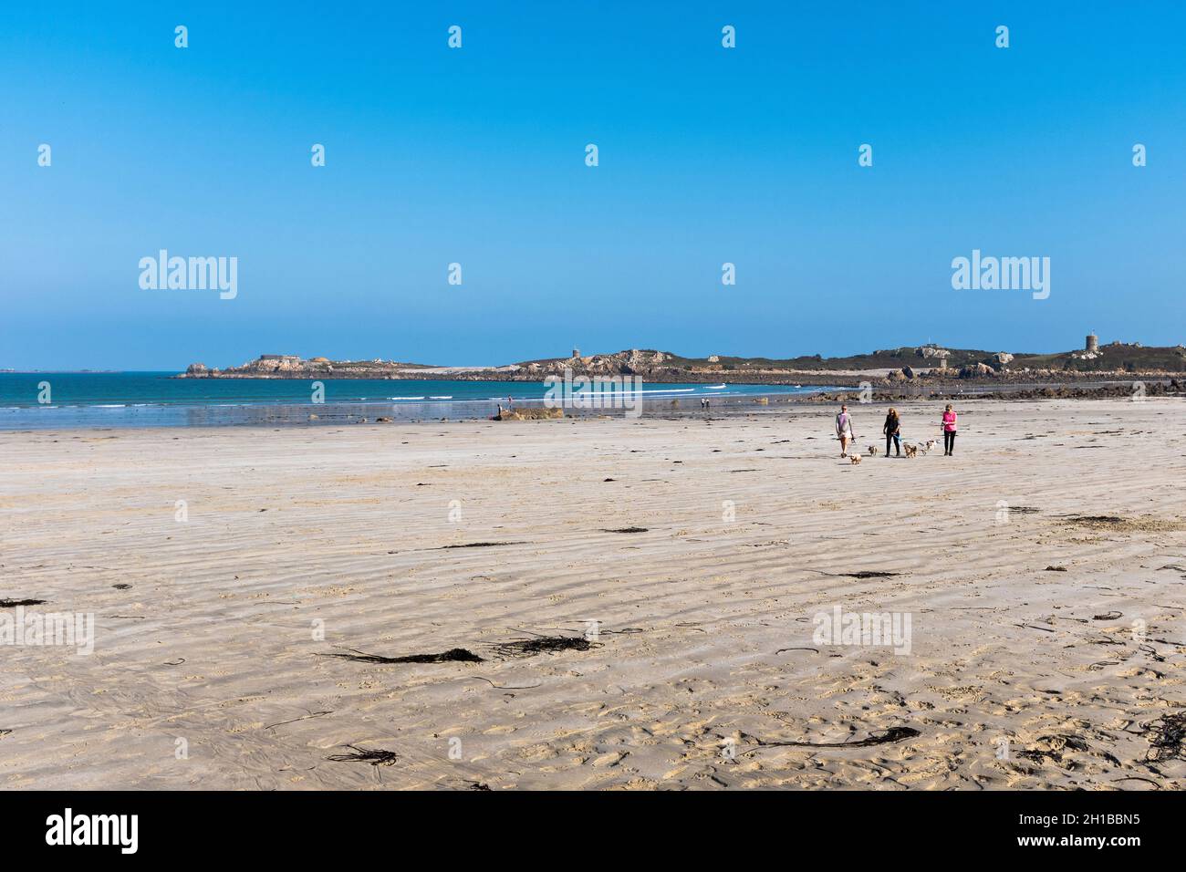 dh Lancresse bay VALE GUERNSEY Women dog walking dogs on Pembroke beach l ancresse Stock Photo