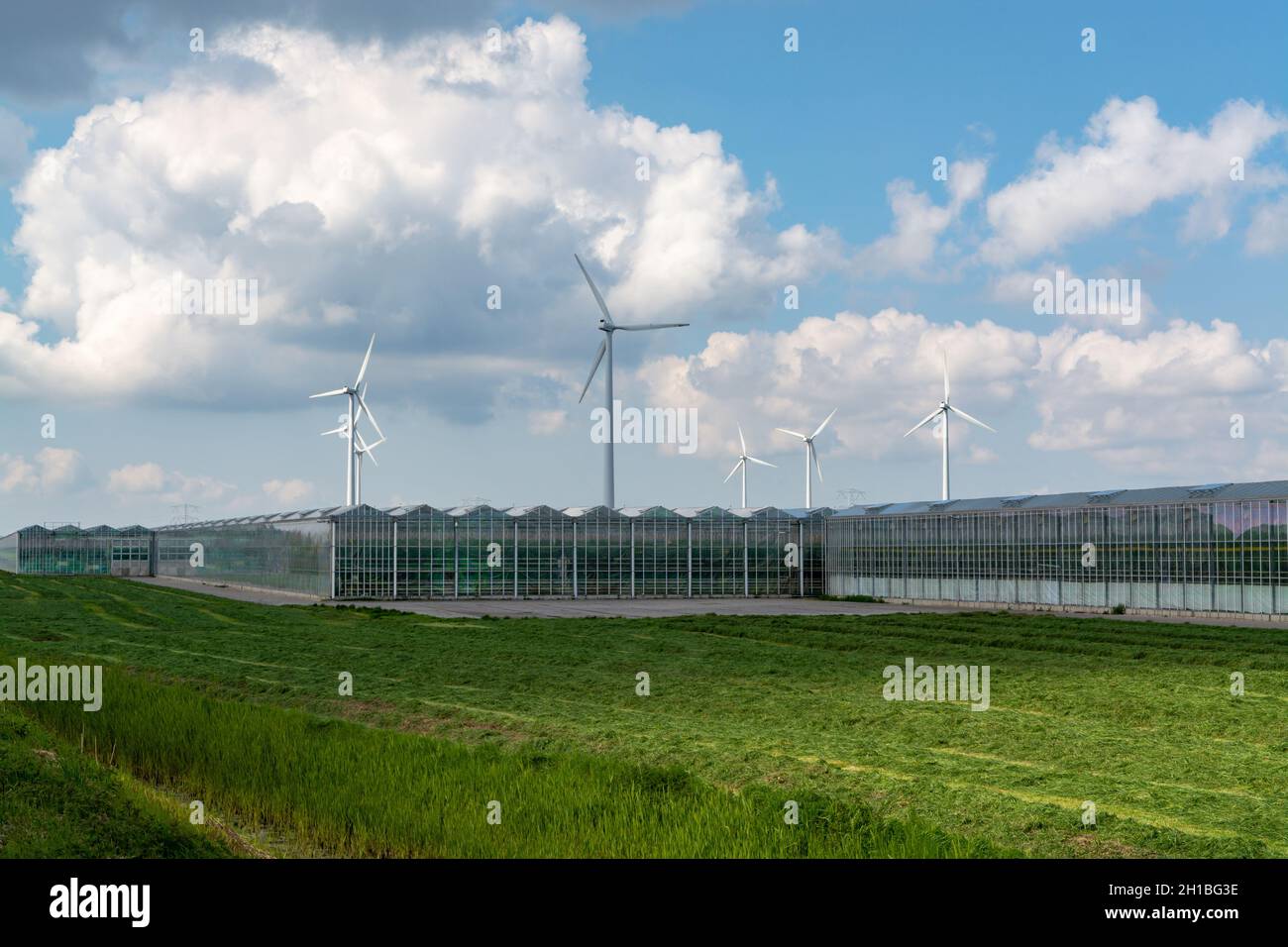 Agriculture in Netherlands, big glass greenhouses used for growing