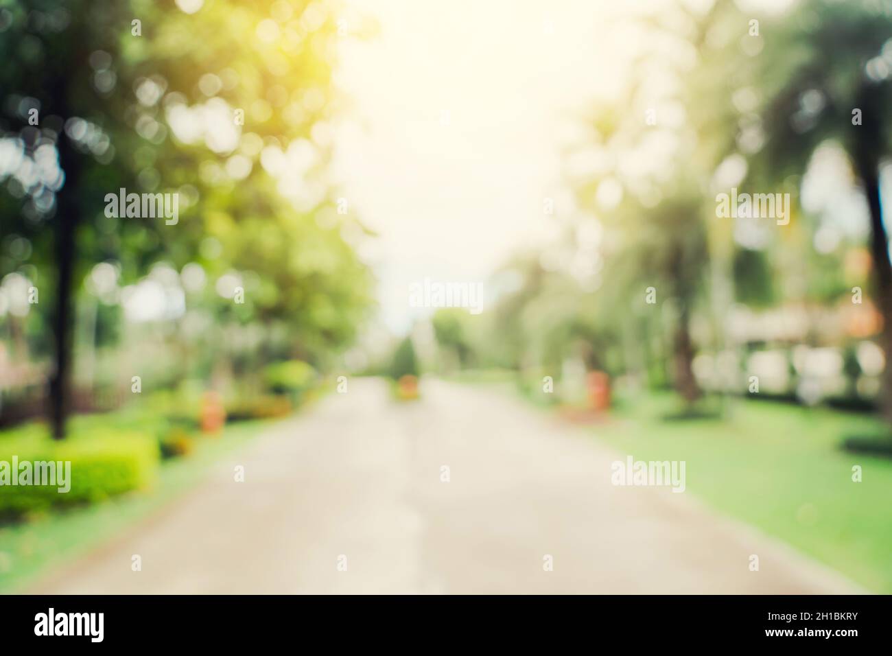 defocused bokeh and blur background of garden trees in sunlight with  vintage toned Stock Photo - Alamy