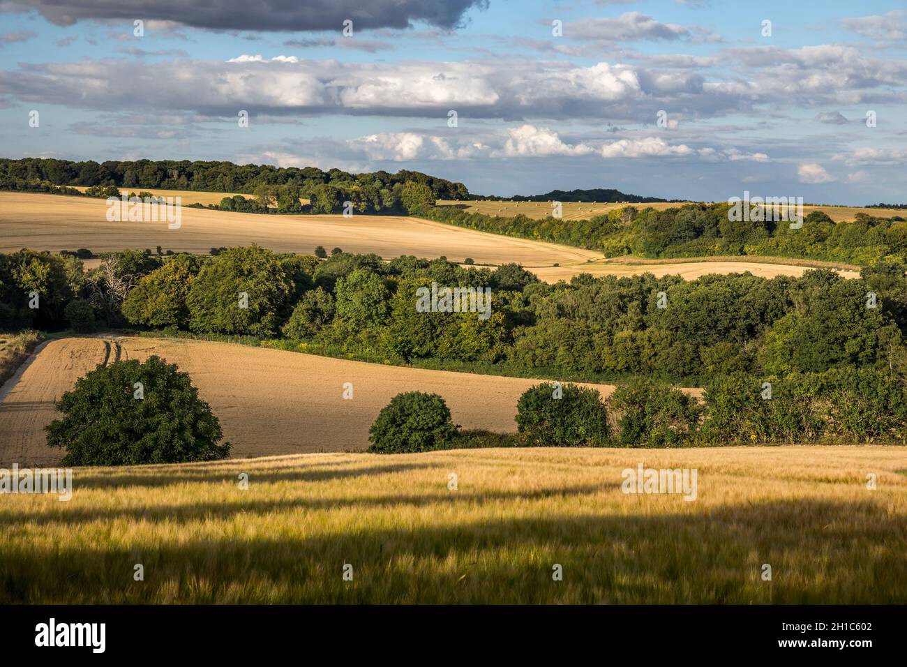 Winterslow; Summer; Wiltshire; UK Stock Photo - Alamy