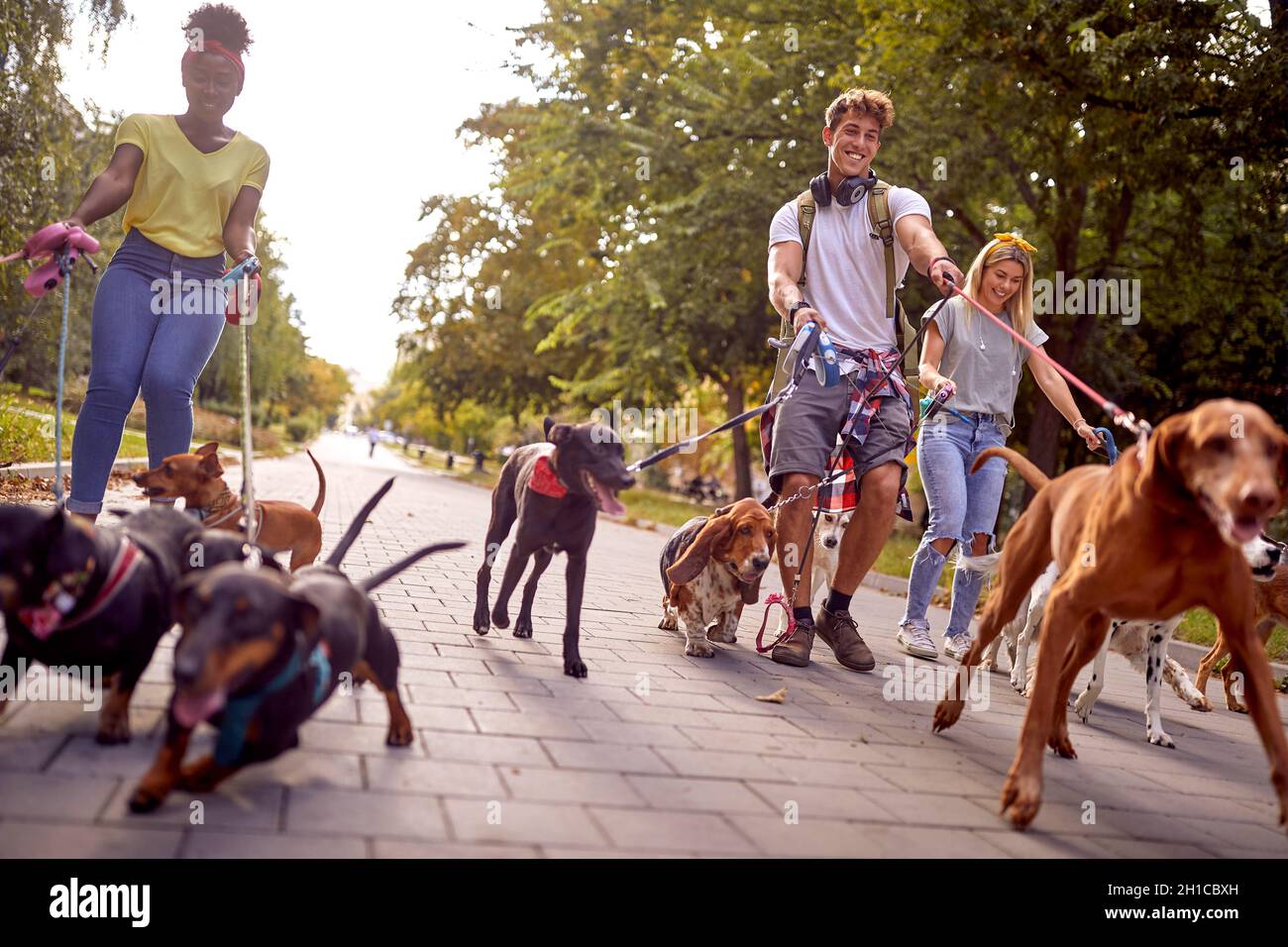 Are Outside Dogs Happy