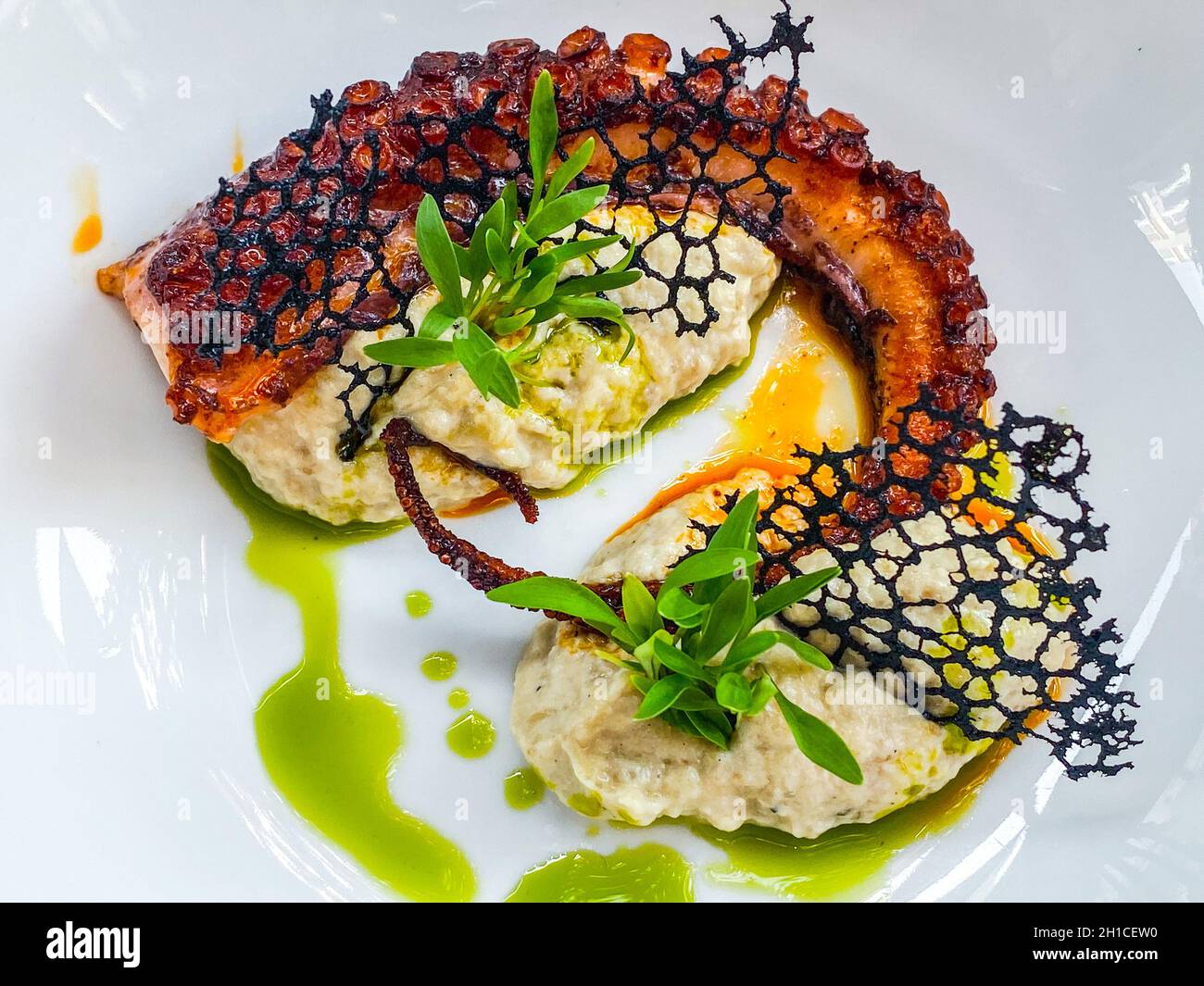 Grilled octopus with mash and cuttlefish ink lace in a plate at a restaurant Stock Photo