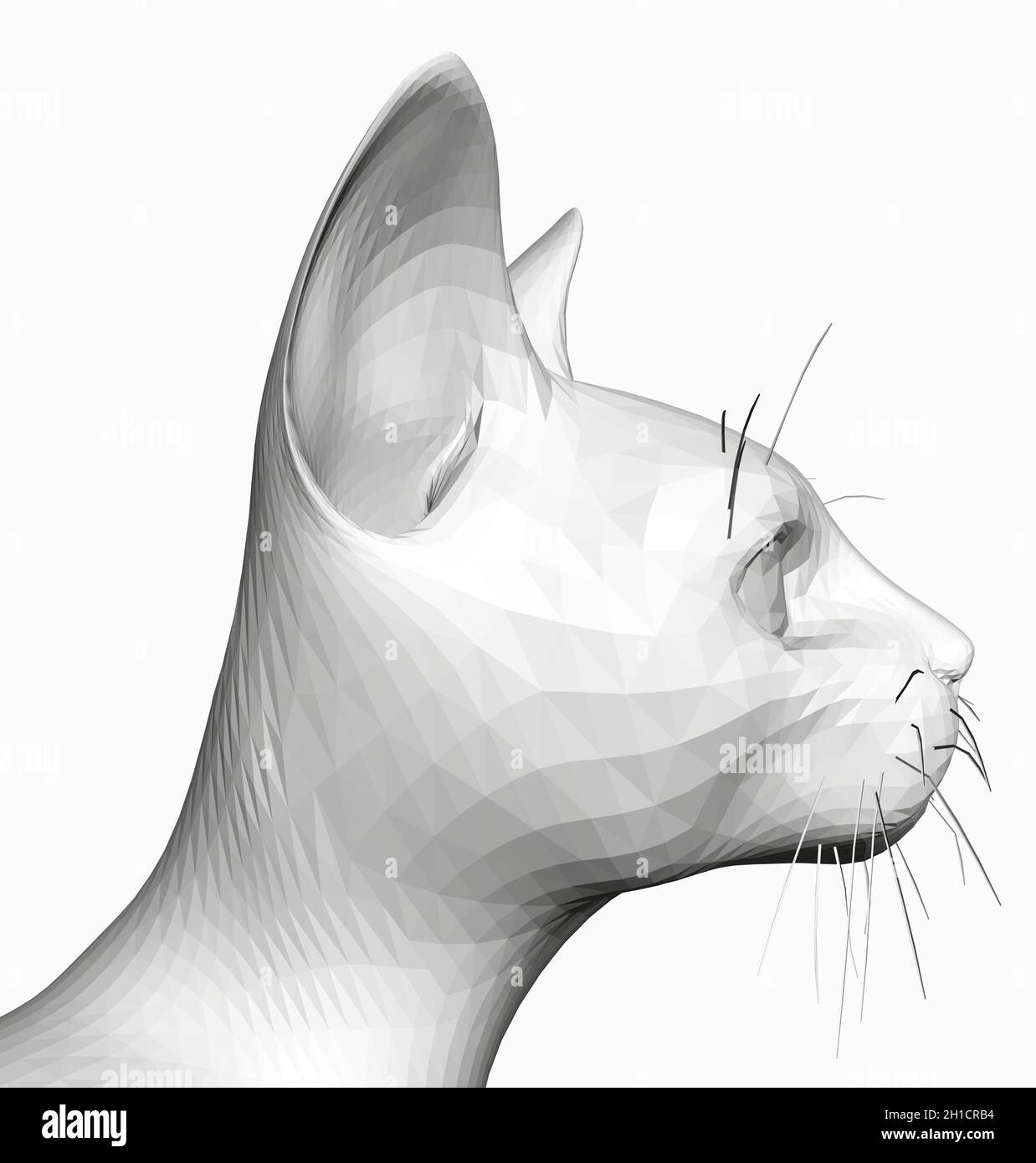 cat head profile