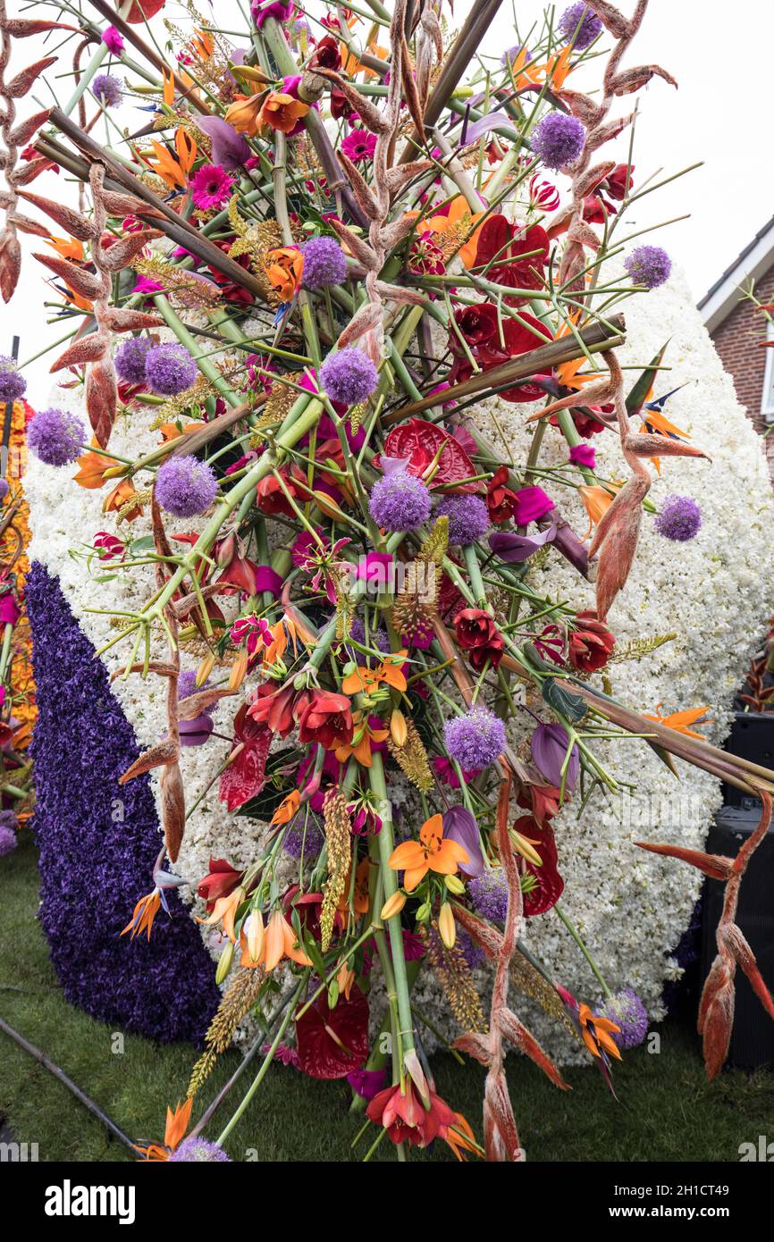 Noordwijkerhout, Netherlands - April 21,  2017: Floristic decorations  at the traditional flowers parade Bloemencorso from Noordwijk to Haarlem in the Stock Photo