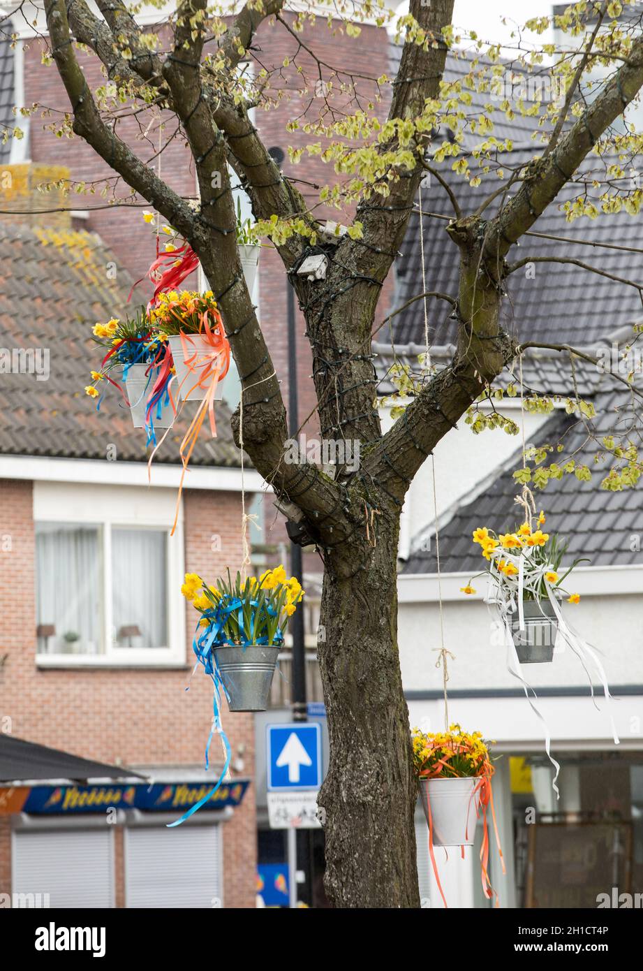 Noordwijkerhout, Netherlands - April 23,  2017: Decorations with hanging pails with yellow daffodils at the traditional flowers parade Bloemencorso fr Stock Photo