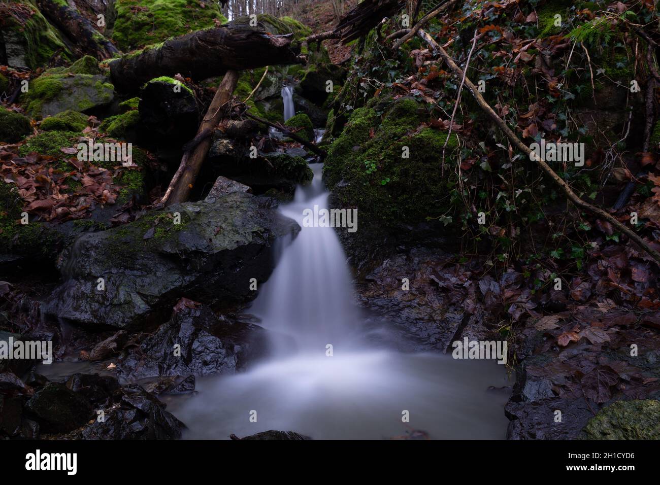 smooth motion of wild water in a river in summer with rocks and stones in the beautiful nature of a forest Stock Photo