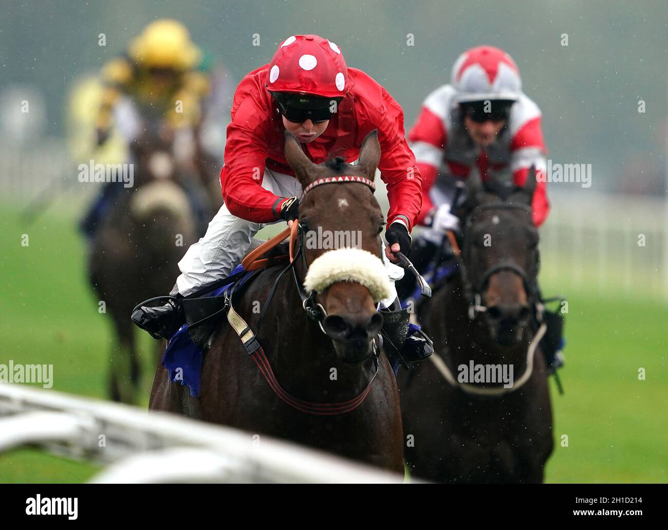 Greenbarn ridden by jockey Connor Beasley wins the Northern Commercials Iveco And Fiat Restricted Novice Stakes at Pontefract Racecourse, West Yorkshire. Picture date: Monday October 18, 2021. Stock Photo