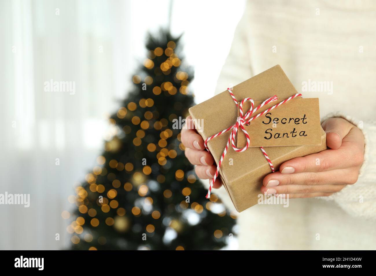 Woman holds Secret Santa gift box, space for text. Stock Photo