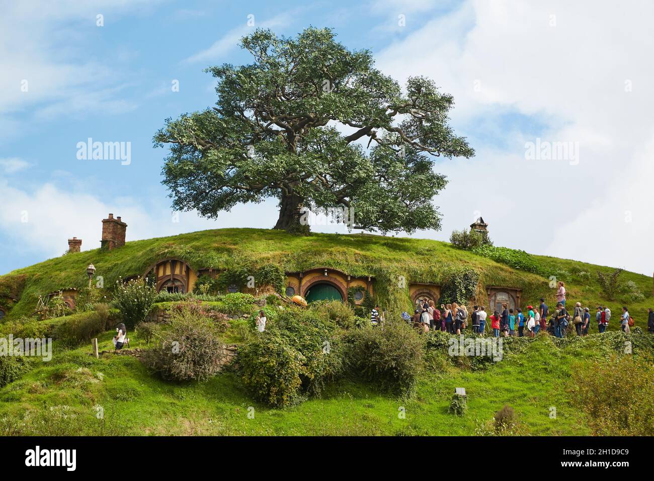 MATAMATA, NEW ZEALAND - CIRCA 2016: Movie set for the Lord of The Rings and The Hobbit. Bilbo Baggins house with the notable tall oak tree above it. G Stock Photo