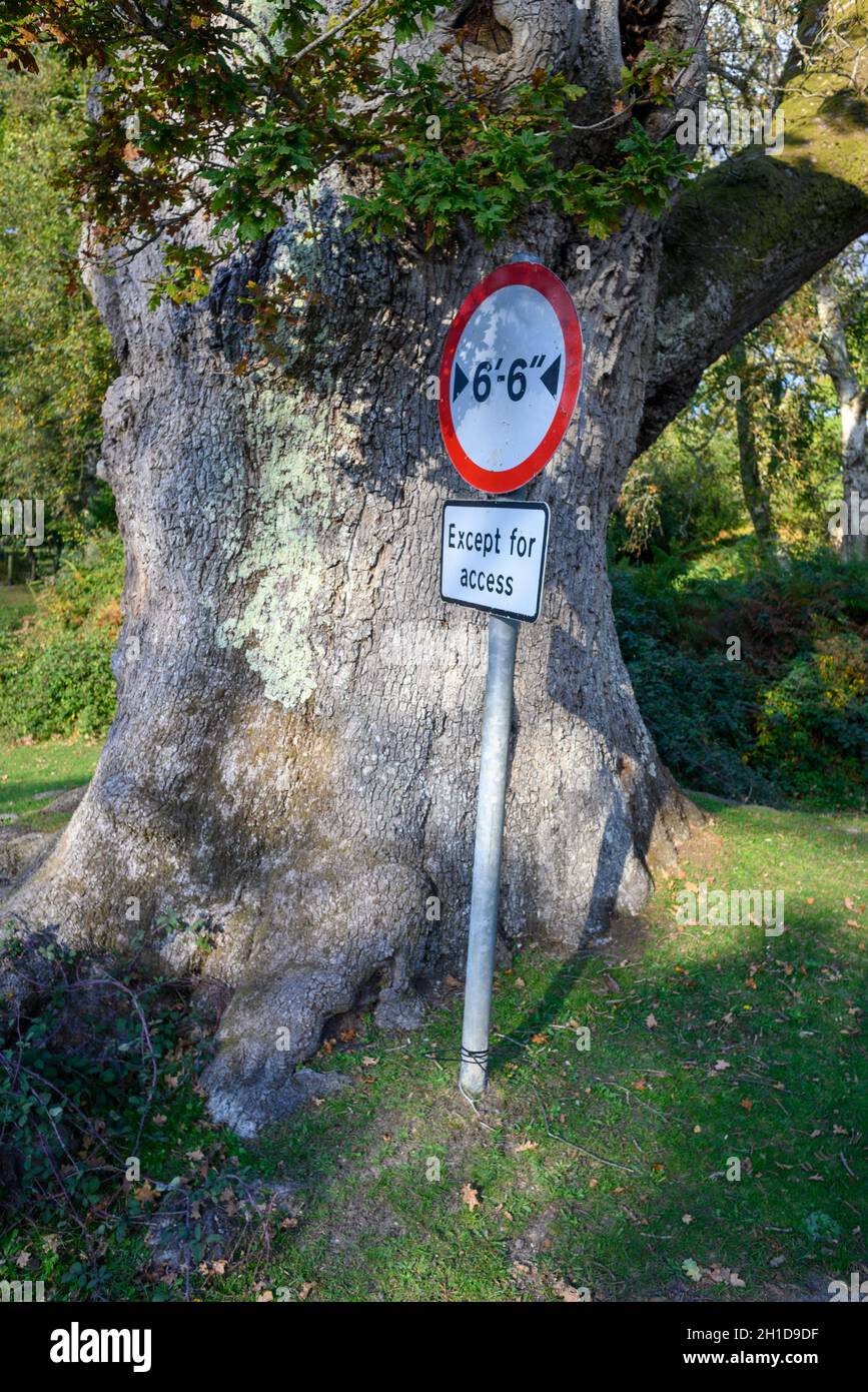 Width restriction prohibitive circular road sign in the countryside, UK Stock Photo