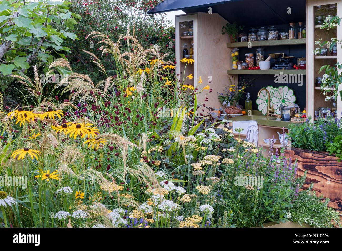 The Parsley Box Garden. Outdoor kitchen with sink and shelves. Foreground planting includes rosemary, Anemanthele lessoniana with Rudbeckia fulgida va Stock Photo