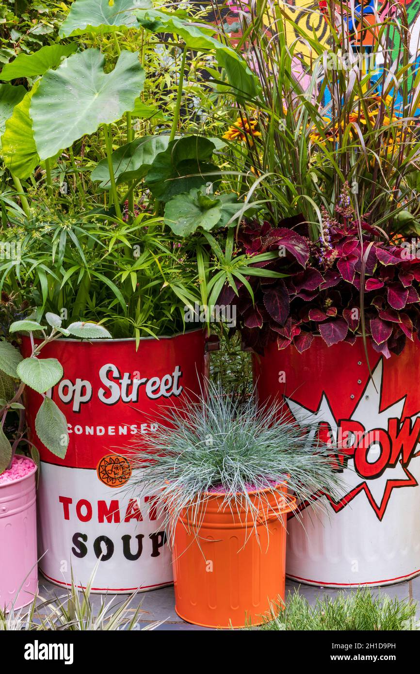 Pop Street Garden. Detail of foliage planting combination in painted pop art containers. Including Festuca glauca ‘Intense Blue', Miscanthus sinensis Stock Photo