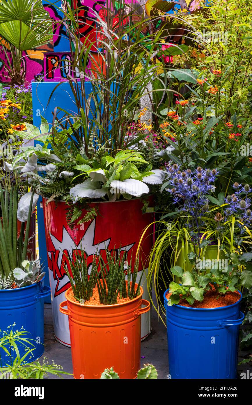 Pop Street Garden. Detail of foliage planting combination in painted pop art containers. Including black bamboo Phyllostachys nigra,  Miscanthus sinen Stock Photo
