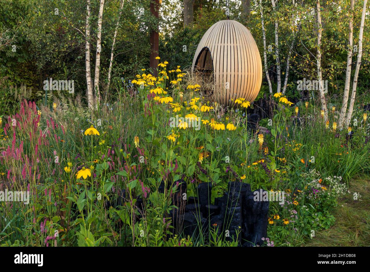 Yeo Valley Organic Garden. Early morning sunlight glances off the suspended, steam-bent, oak egg seat which forms the focal point of the garden. Natur Stock Photo