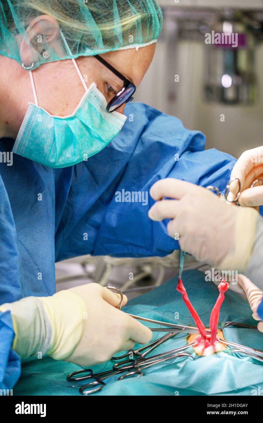 Female surgeon in operation room, operating a patient Stock Photo - Alamy