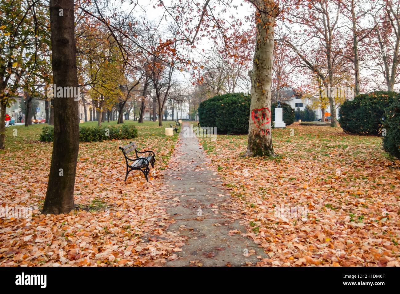 Park with the autumn trees Stock Photo - Alamy