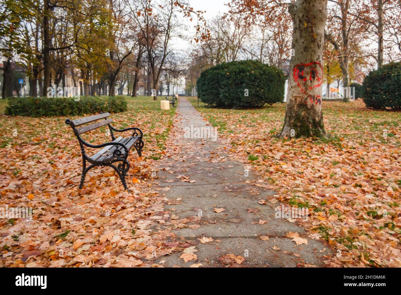 Park with the autumn trees Stock Photo - Alamy