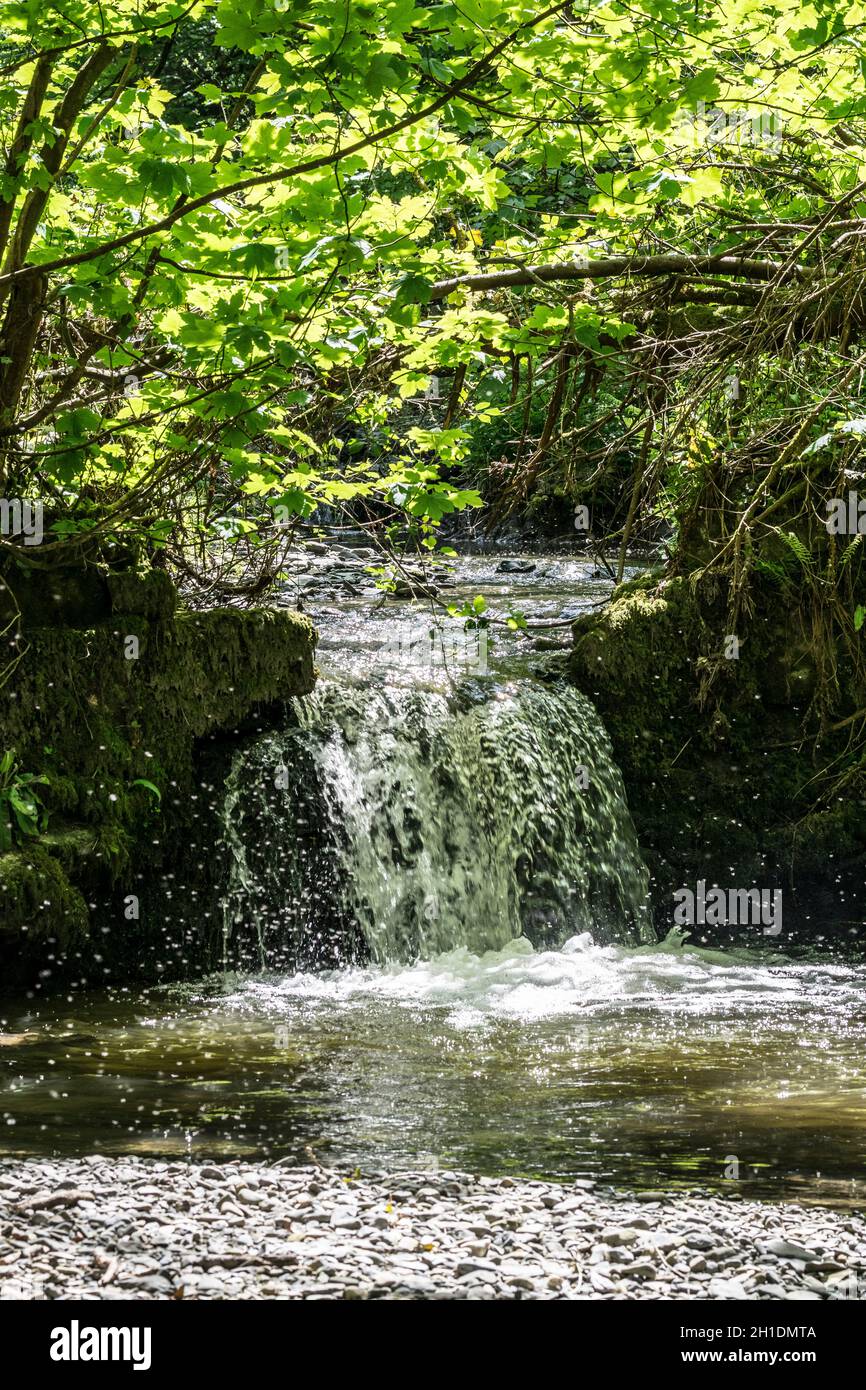 Waterfall with midge flies Stock Photo