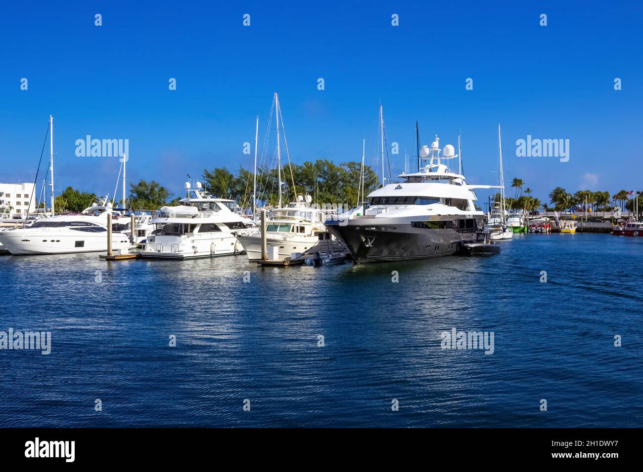 Boat marina and yachts at Fort lauderdale, Florida Stock Photo Alamy
