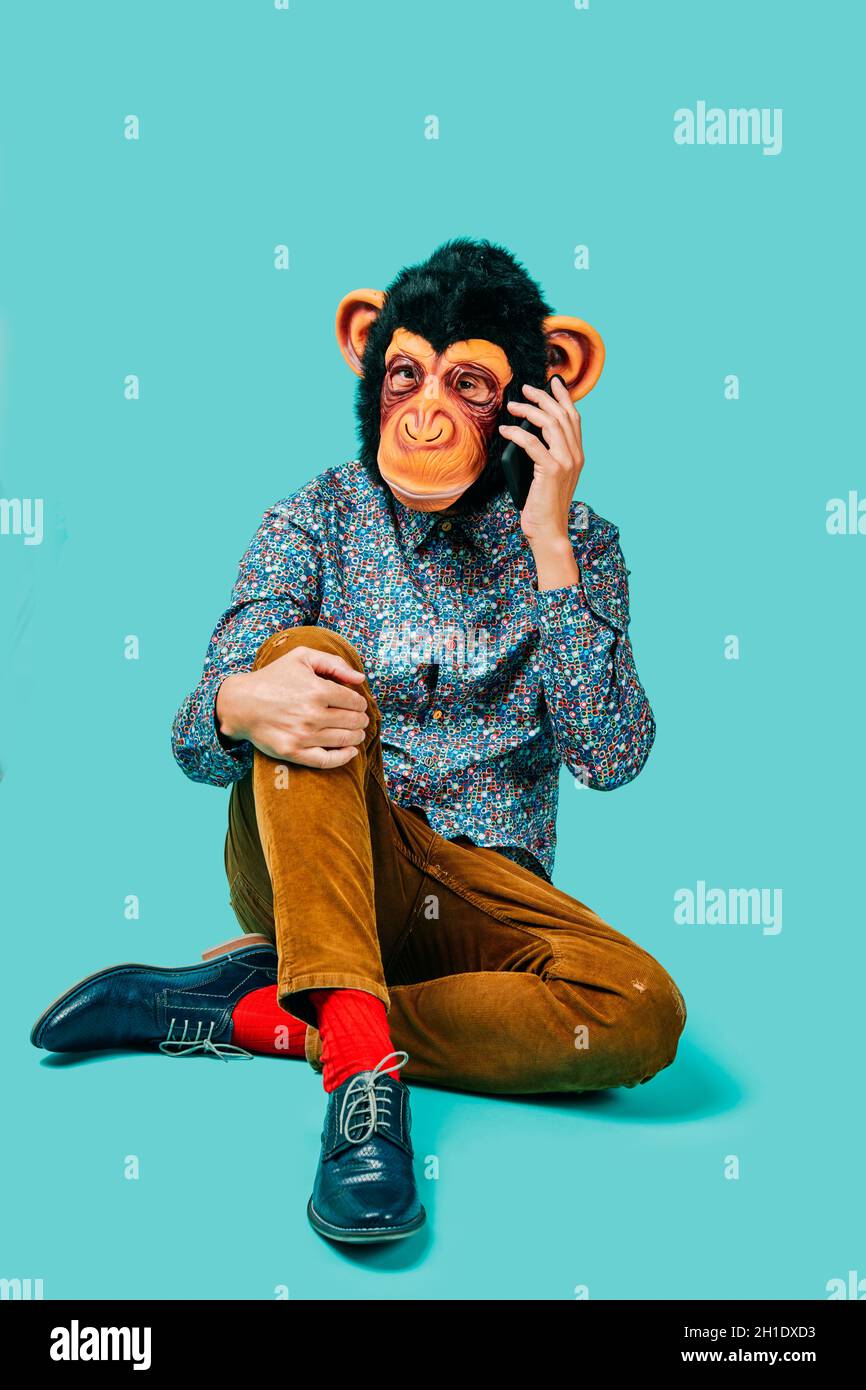 a young man wearing a monkey mask talking on the phone, sitting on a blue background Stock Photo