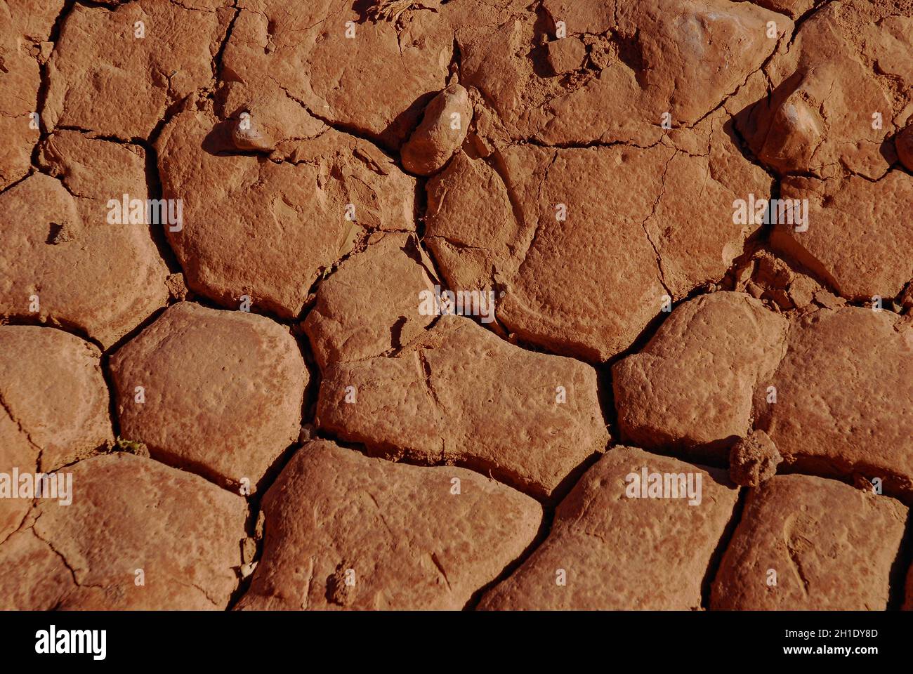 Arid soil of the Atacama Desert, Chile Stock Photo
