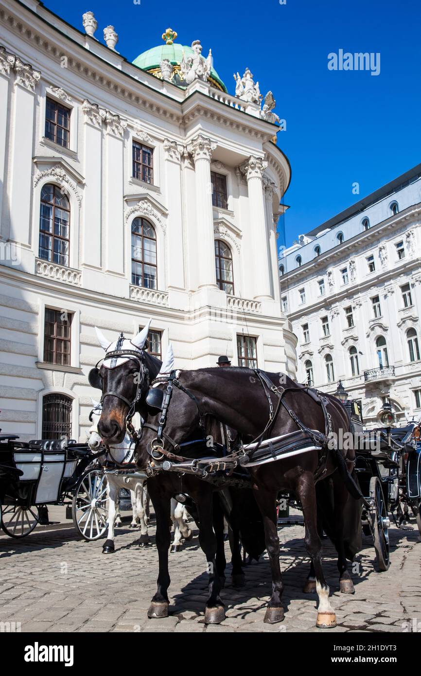 Horse-drawn carriages in front of the Hofburg Imperial Palace in Vienna Stock Photo