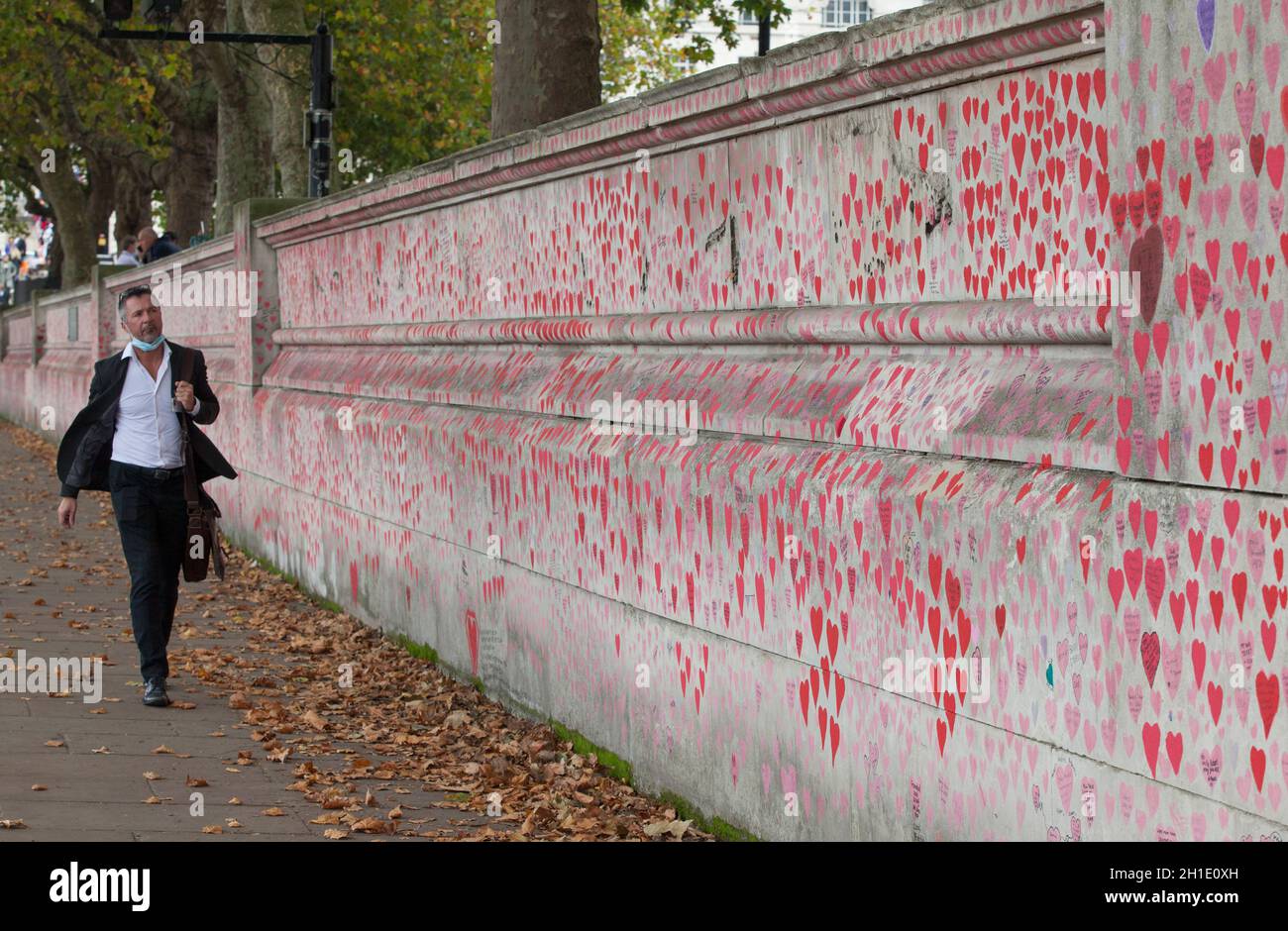 London, UK, 18 October 2021: The National Covid Memorial Wall on the south bank of the Thames, with each heart representing one person who has died during the coronavirus pandemic. So far the total number of people in the UK who have died with Covid-19 on their death certificates is 161,798. The wall is boundary of St Thomas's Hospital and faces the Houses of Parliament, with the hearts stretching for hundreds of metres besides the River Thames. It was created by volunteers organised by the campaign group Covid-19 Bereaved Families for Justice with the help of Led By Donkeys. The original red Stock Photo