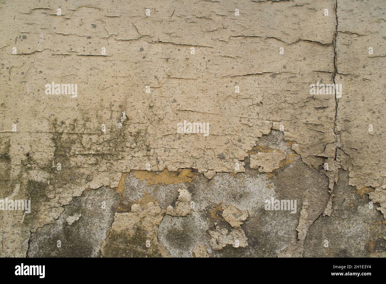 Damaged Plaster texture, cracked texture with fine detail High ...