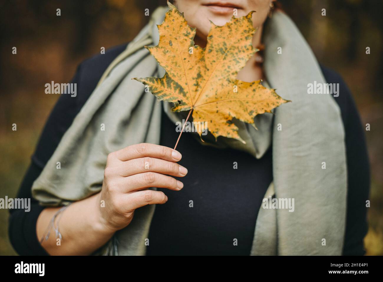Autumn maple leaf in a female hand close-up. Stock Photo