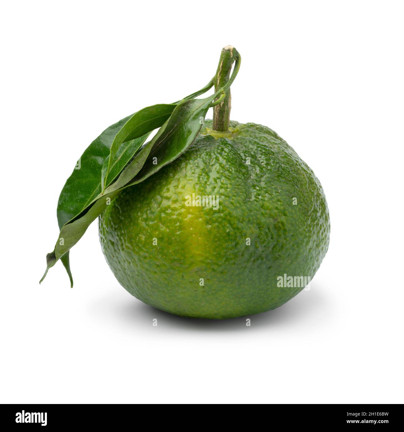 Satsuma satsuma mandarin fruit Cut Out Stock Images & Pictures Alamy