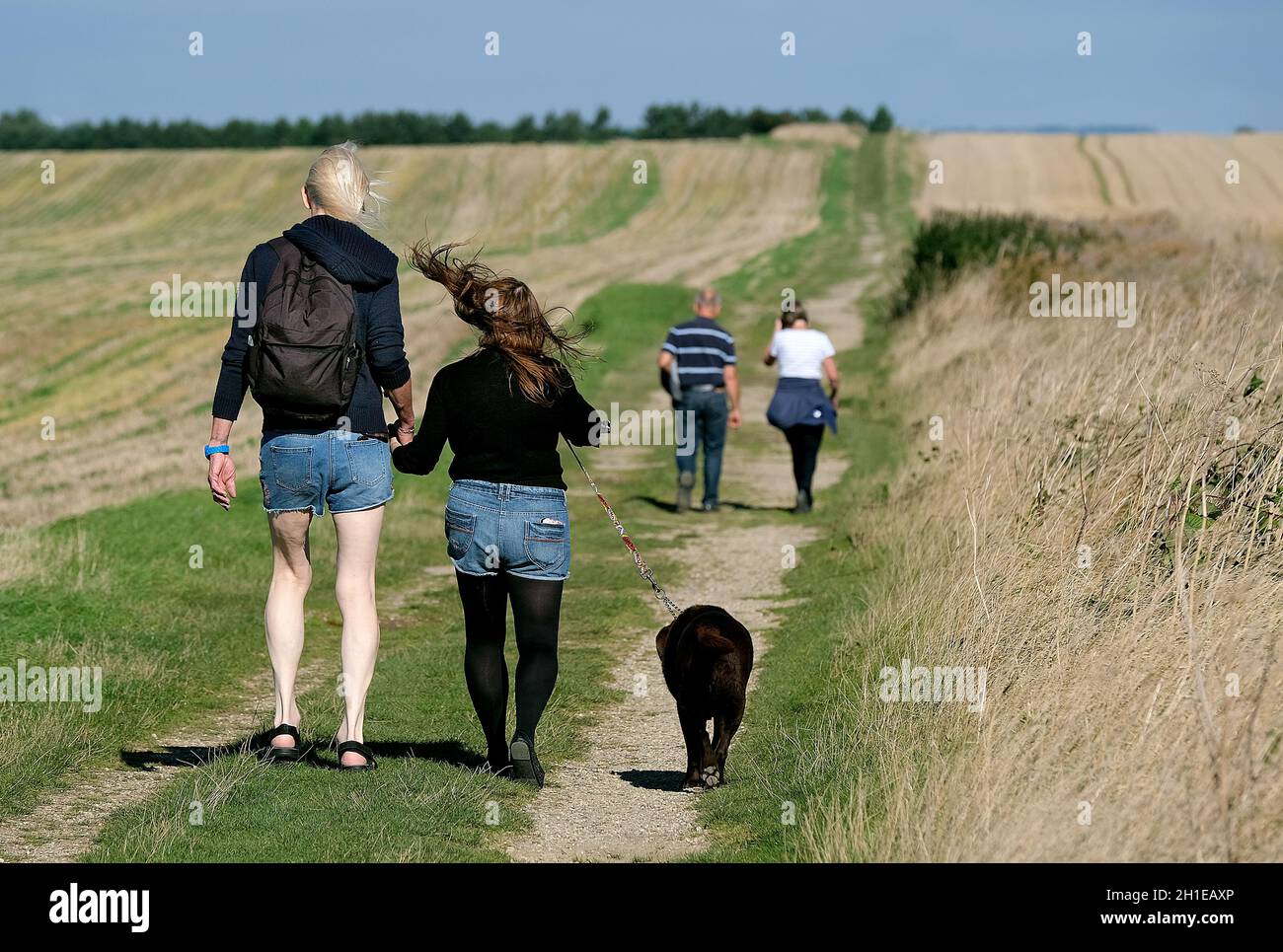 People  walking on long country track between farm fields. Stock Photo