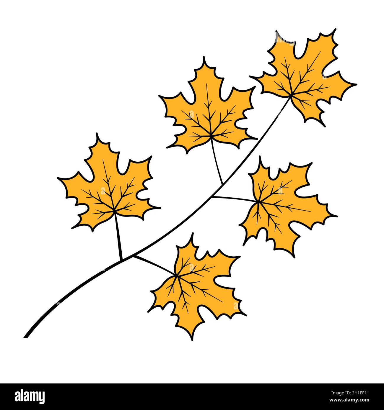 Fall autumn season leaves sketch outline Vector Image