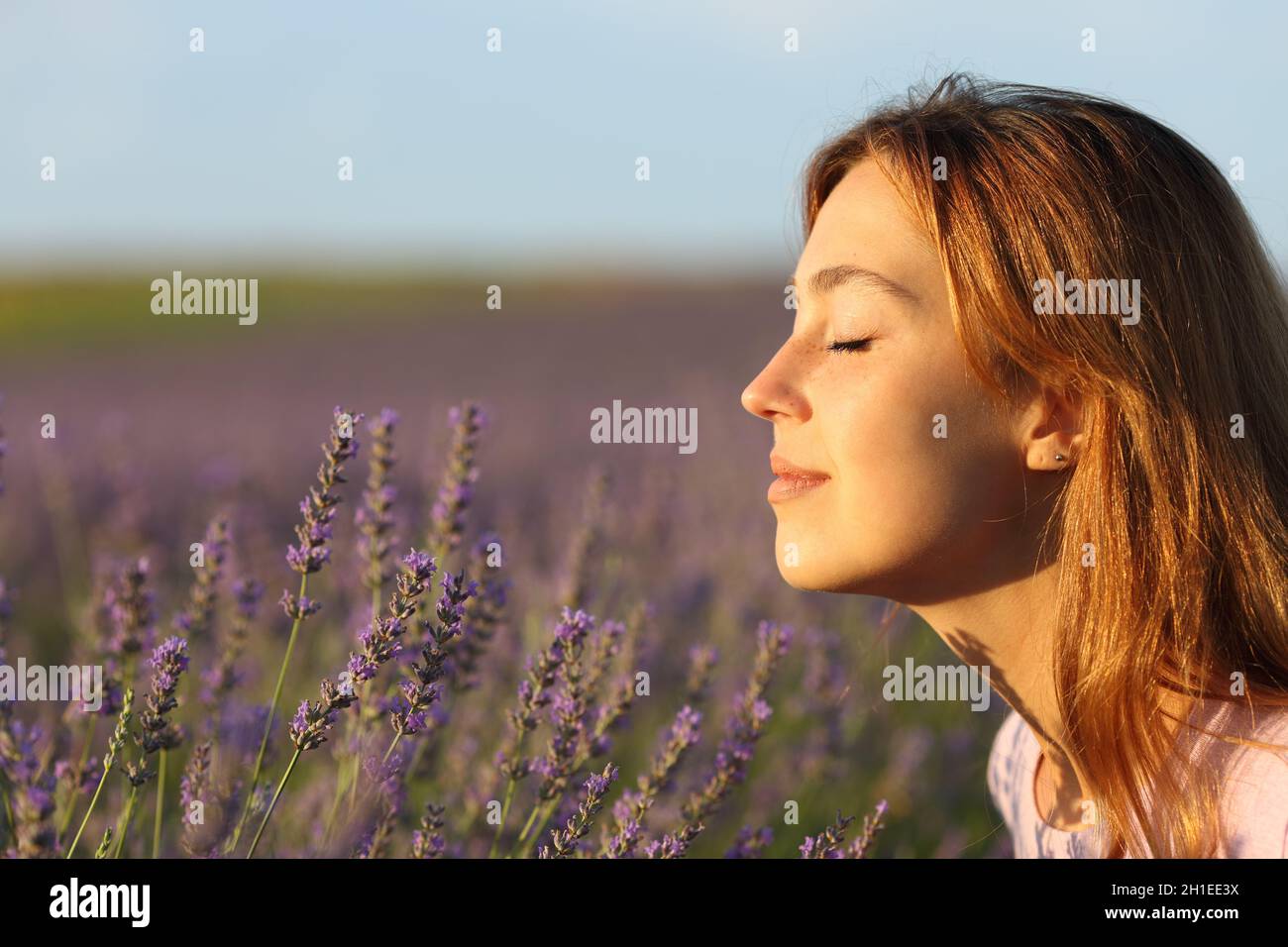 Side view portrait of a woman smelling flowers in a lavender field at ...