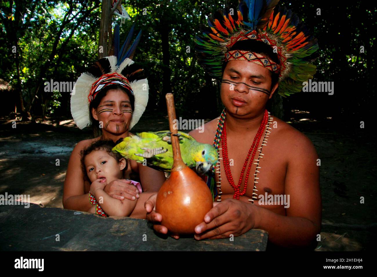 porto seguro, bahia / brazil - february 21, 2008: india pataxo da audeia  Jaqueira in the city of Porto Seguro, is seen using a credit card to pay  for Stock Photo - Alamy