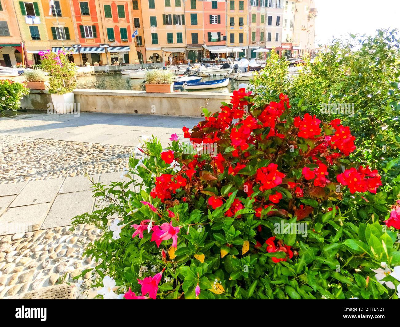 Beautiful bay with colorful houses in Portofino, Liguria, at Italy Stock Photo