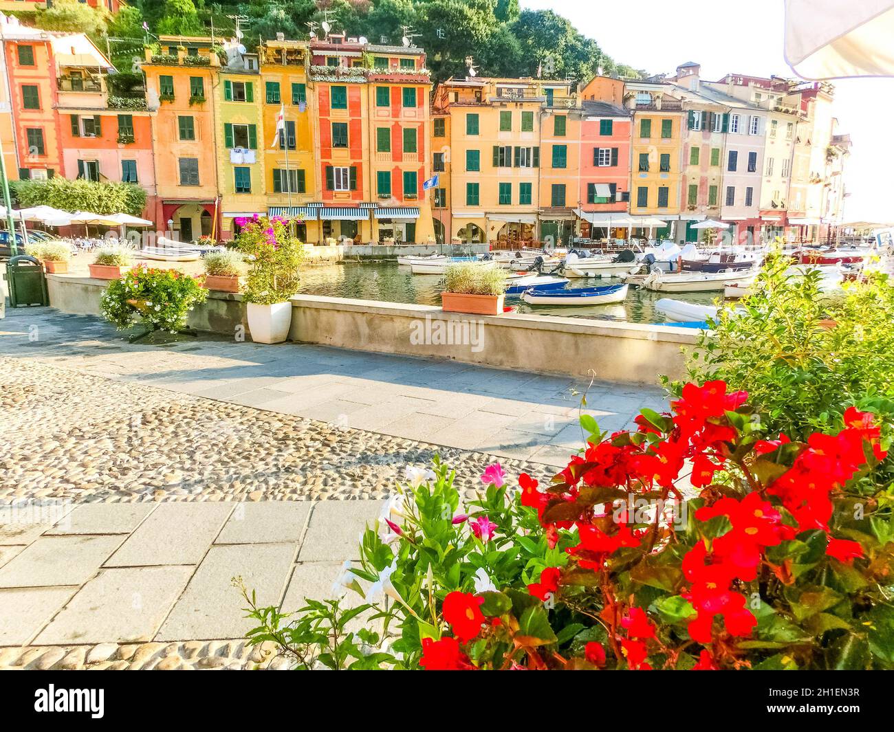 Beautiful bay with colorful houses in Portofino, Liguria, at Italy Stock Photo