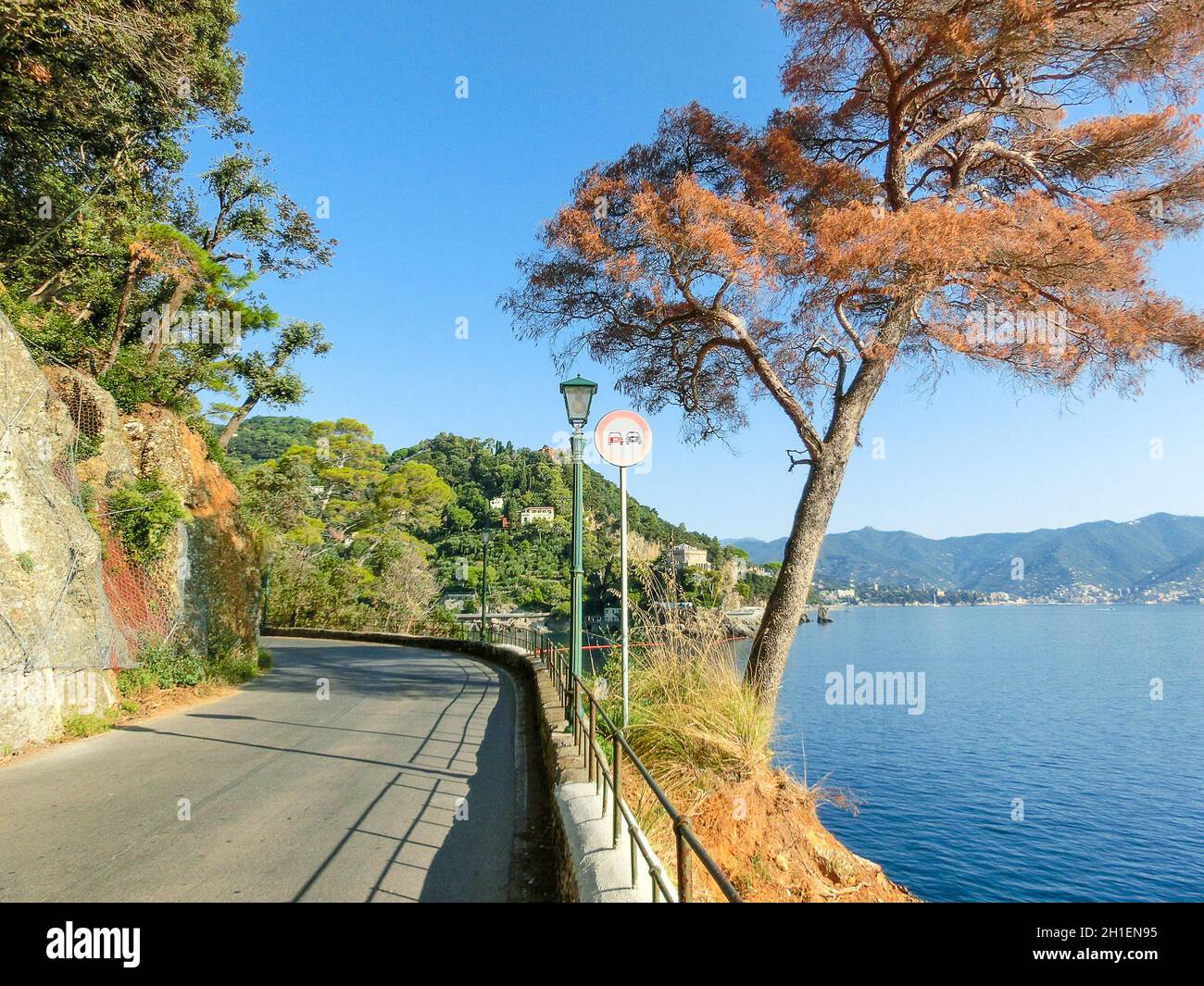bus from santa margherita to portofino