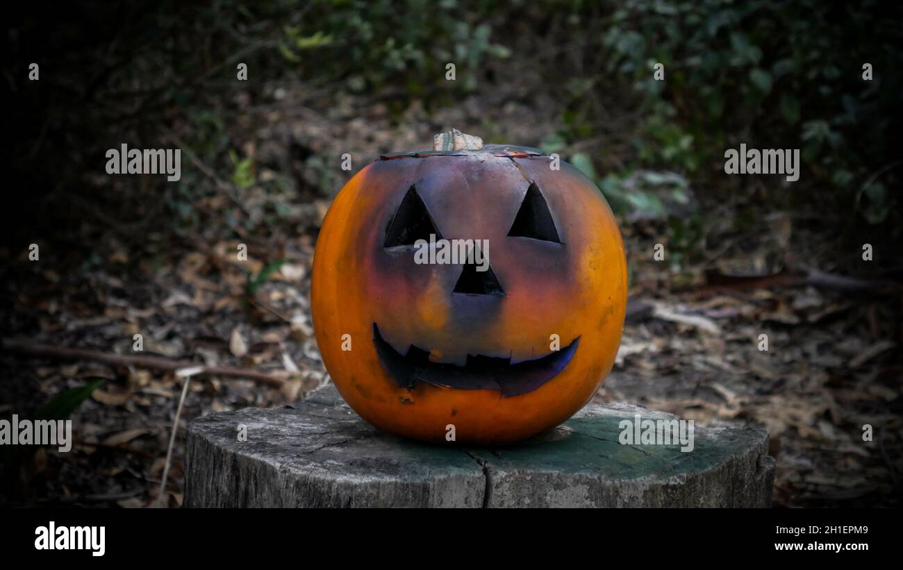 Large pumpkin with a carved face as a symbol of Halloween Stock Photo ...
