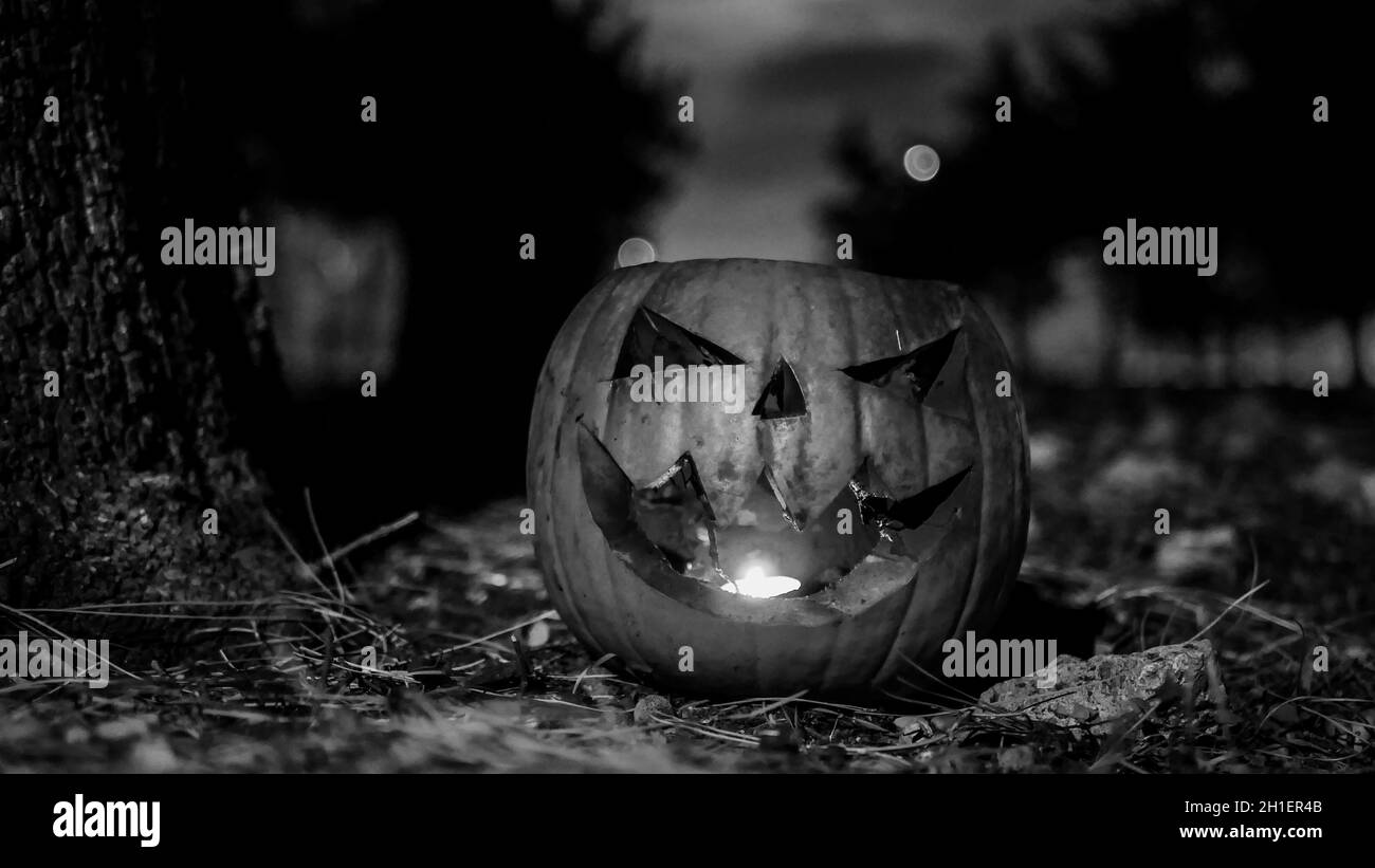 Large pumpkin with a carved face as a symbol of Halloween Stock Photo ...