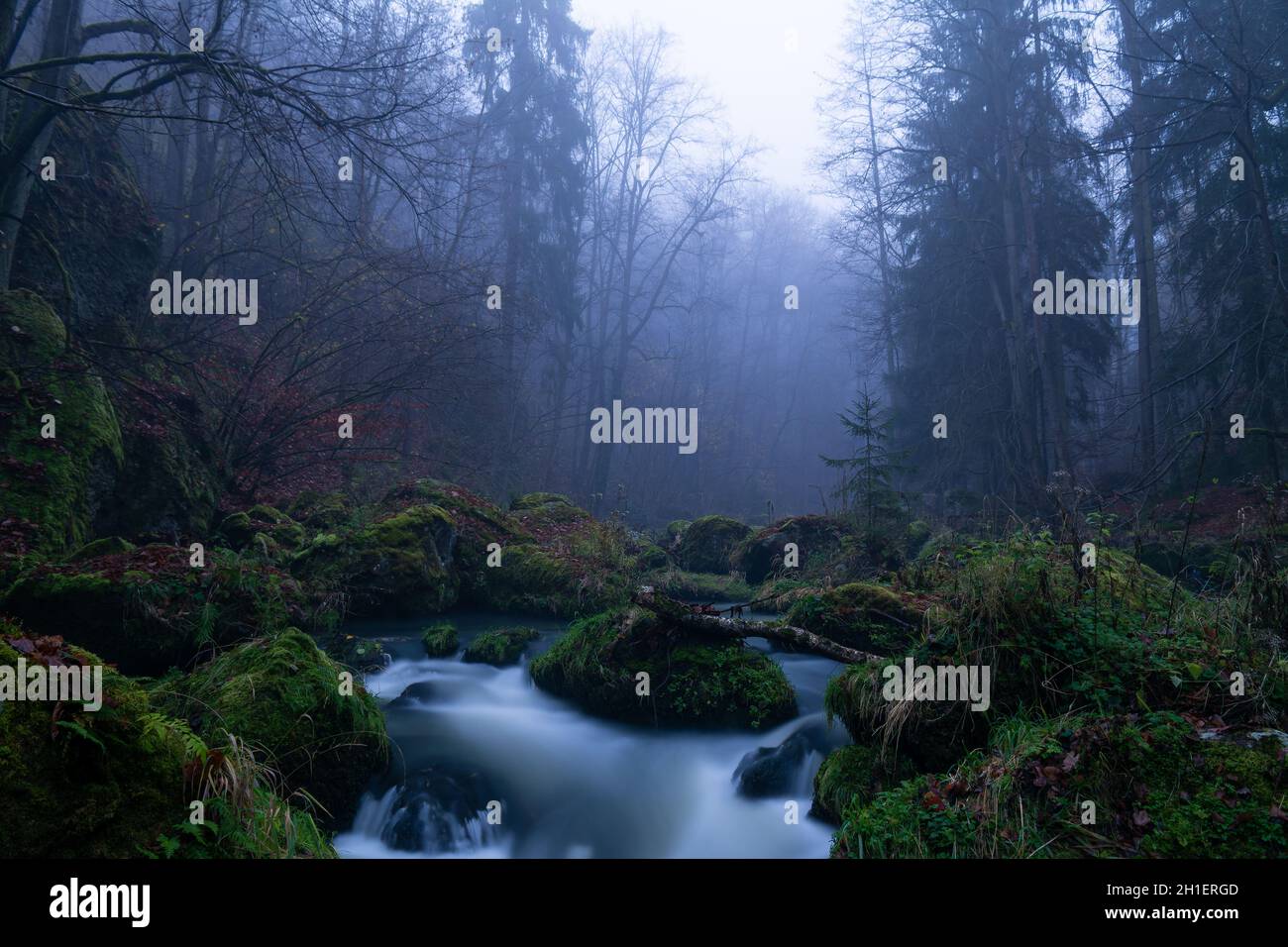 smooth motion of wild water in a river in summer with rocks and stones in the beautiful nature of a forest Stock Photo