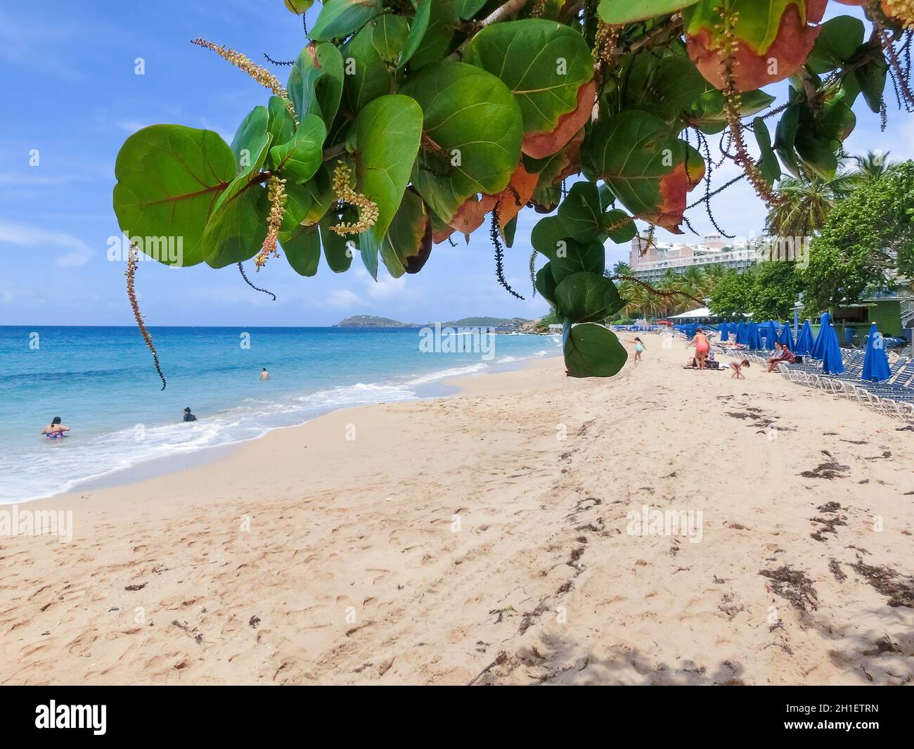 Caribbean tropical beach view hi-res stock photography and images - Alamy