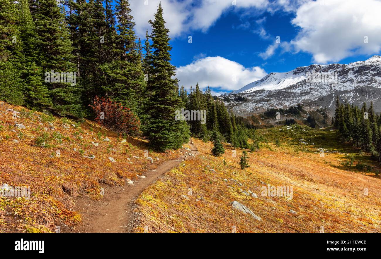 Hiking trail outdoors in Canadian nature. Sunny Fall Season Stock Photo ...