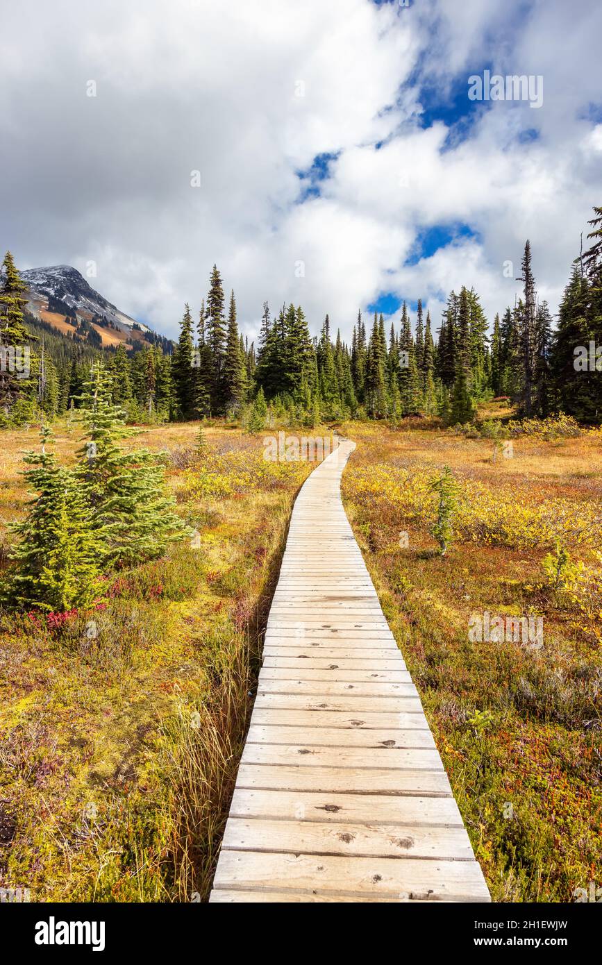 Hiking trail outdoors in Canadian nature Stock Photo - Alamy