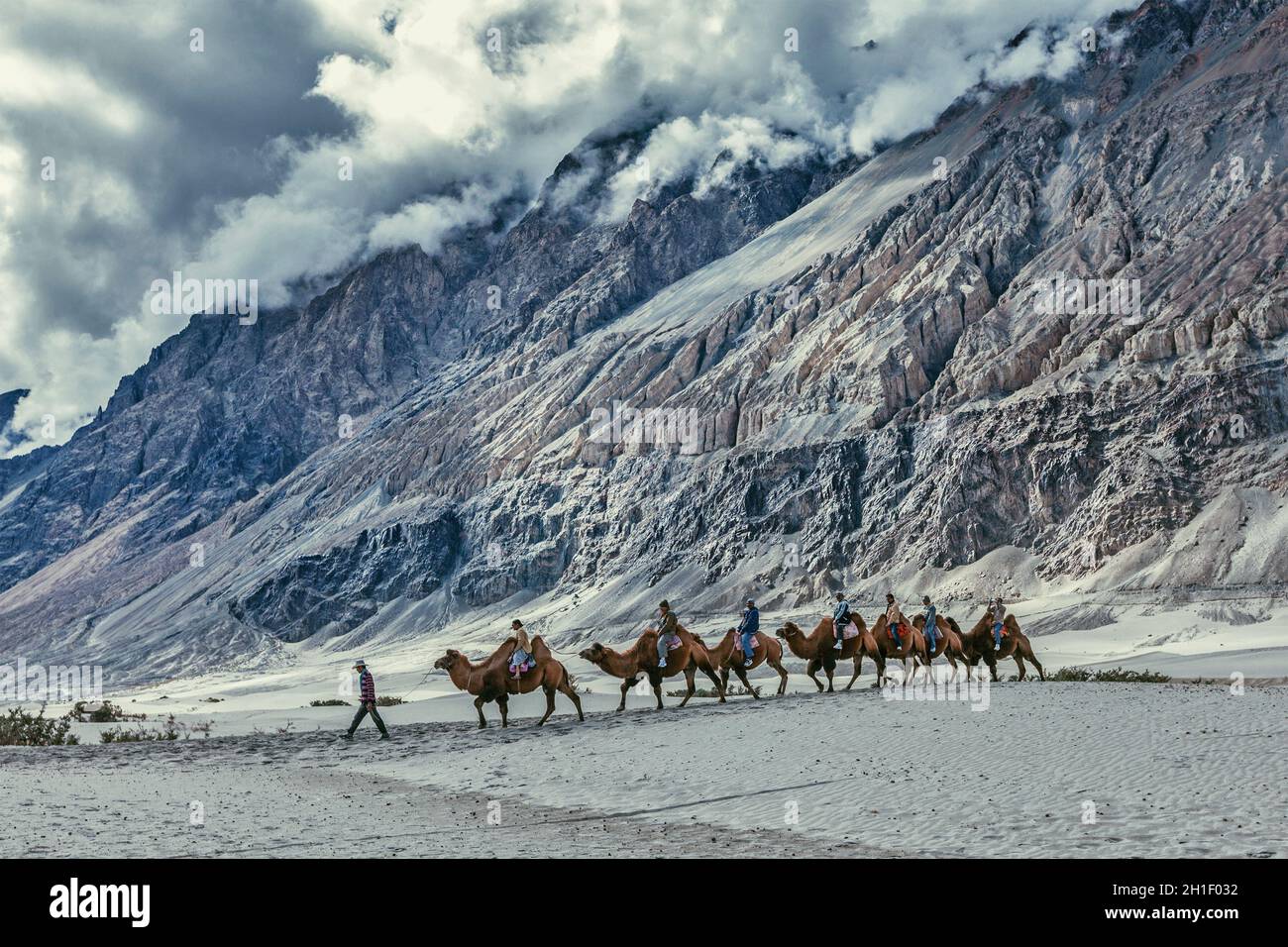 HUNDER, INDIA - SEPTEMBER 11, 2012: Tourists riding camels in Nubra valley in Himalayas, Ladakh Stock Photo